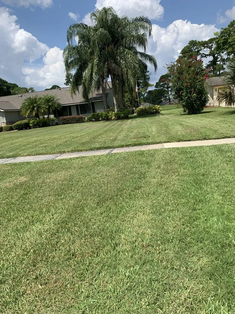 Local lawn care service experts serving Deltona, FL - Green sky landscaping