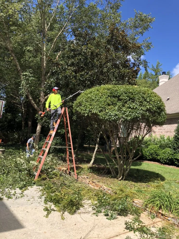 Reliable residential landscaping in Charlotte, NC - Green Sky Landscaping Services