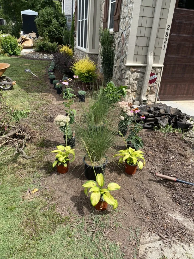 Professional landscaping services in Charlotte, NC - Green Sky Landscaping Services