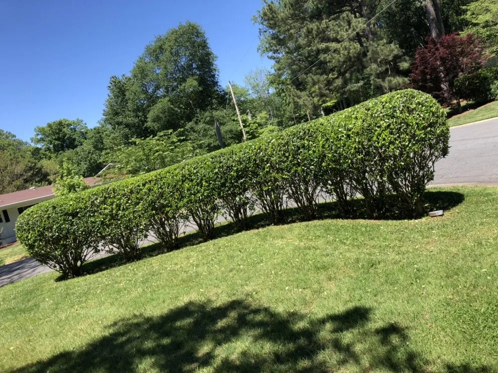 Expert landscape installation for homes across Charlotte, NC - Green Sky Landscaping Services