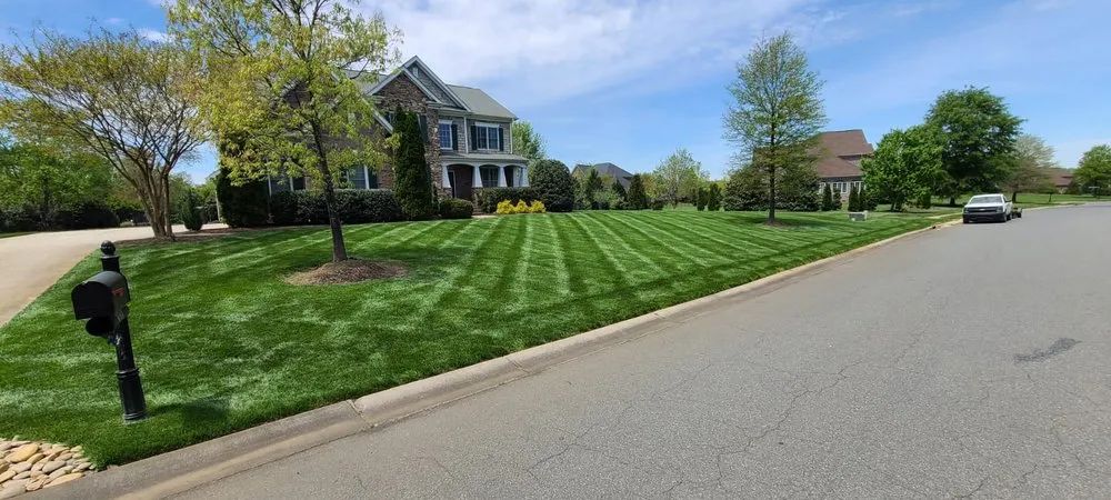 Affordable lawn care service for year-round maintenance in Charlotte, NC by Green Sky Landscaping Services