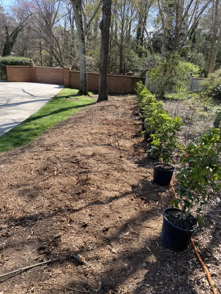 Local outdoor landscaping experts serving Charlotte, NC - Green Sky Landscaping Services