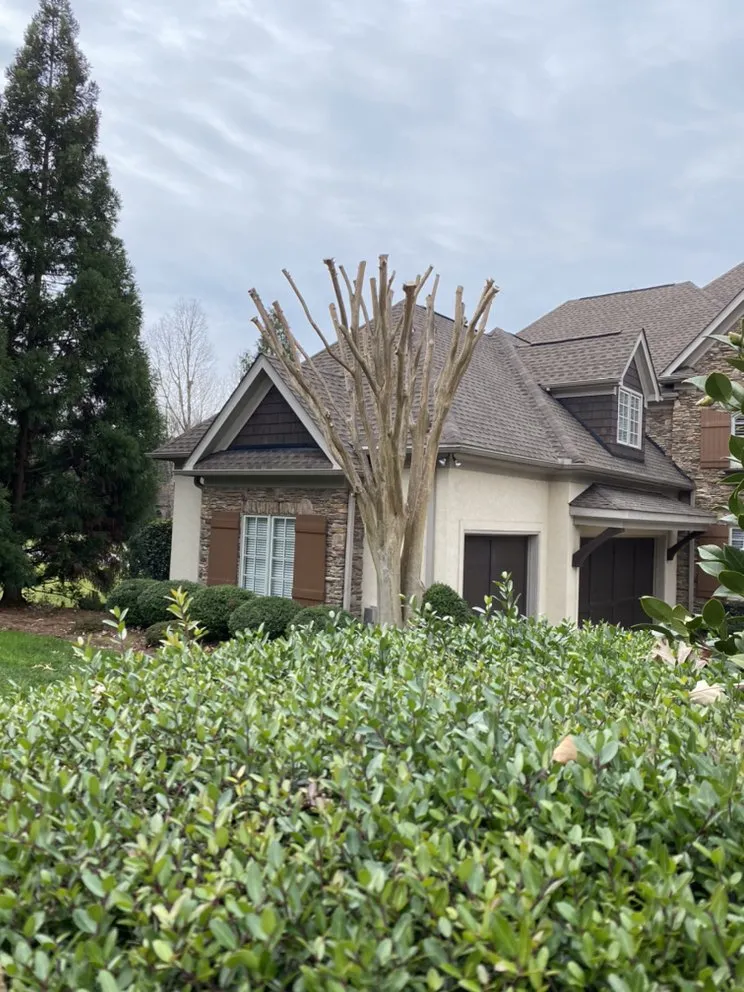 Professional landscape design in Charlotte, NC by Green Sky Landscaping Services