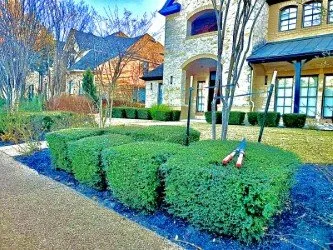 Affordable lawn mowing service for residential properties across Leander, TX - Green Sky Lawn Service