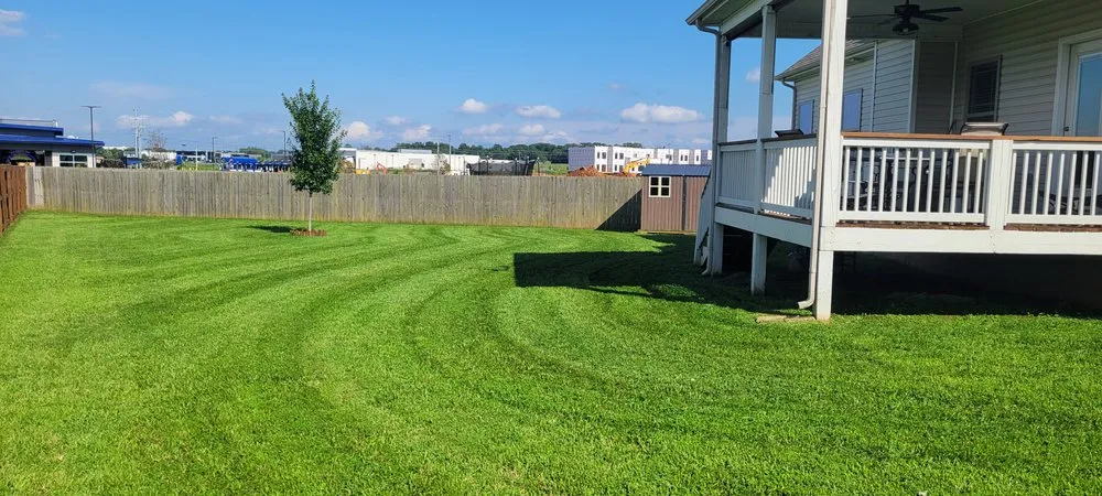Reliable yard maintenance for year-round maintenance in Clarksville, TN by Green Sky Solutions