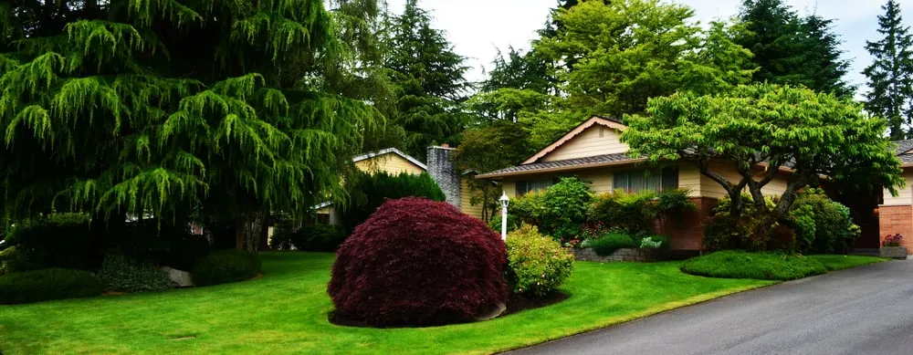 Top-rated garden landscaping in Mukilteo, WA - Green Slate Landscaping