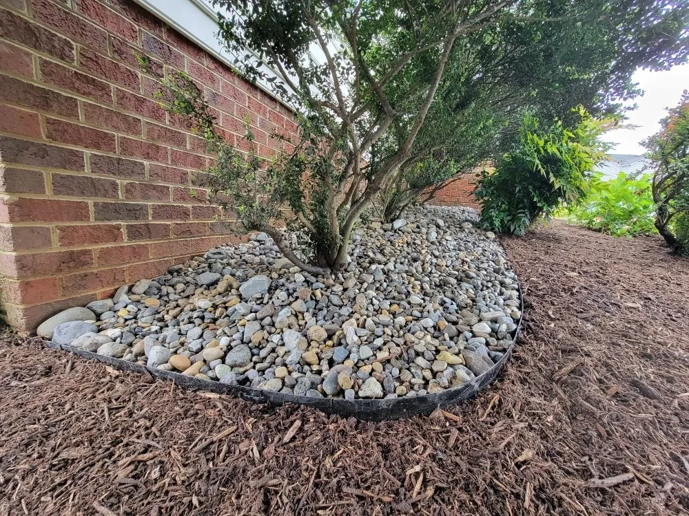 Top-rated yard cleanup service for year-round maintenance across Fairfax, VA - Green Smart