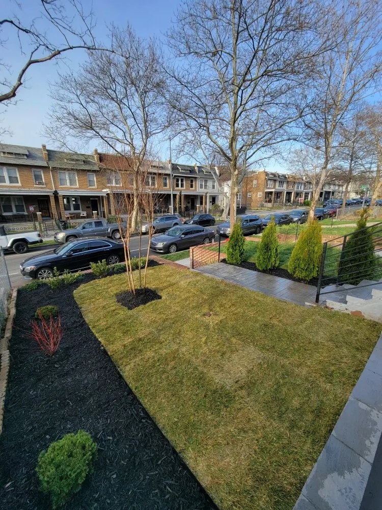 Custom lawn care service experts serving Fairfax, VA - Green Smart