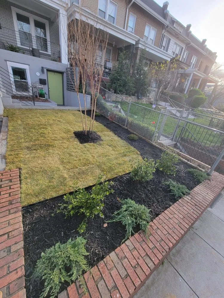 Top-rated yard maintenance in Fairfax, VA by Green Smart