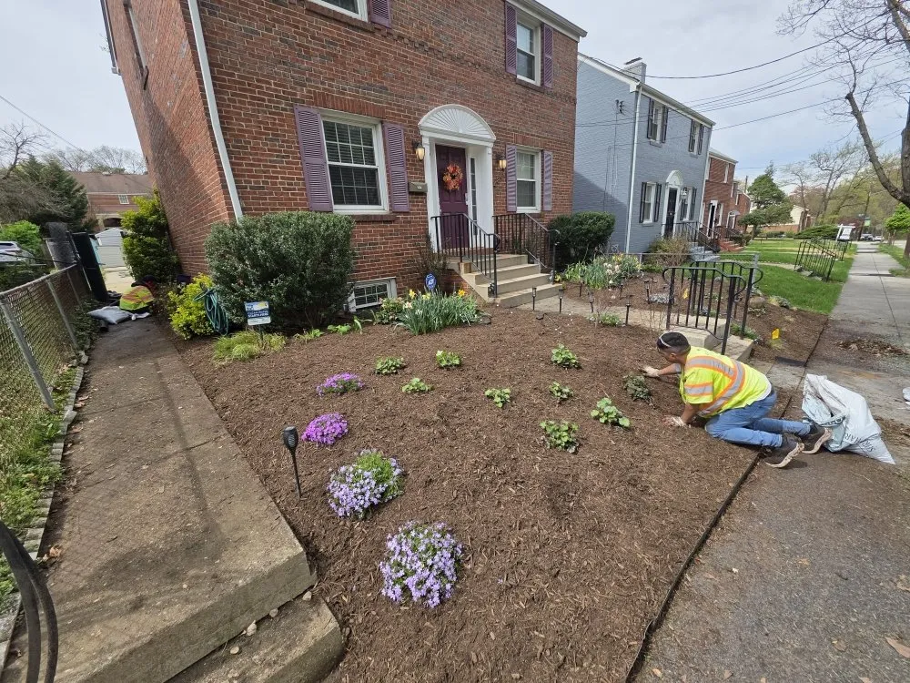 Reliable landscaping services in Fairfax, VA - Green Smart