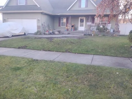 Green Smarts With Big Hearts Logo