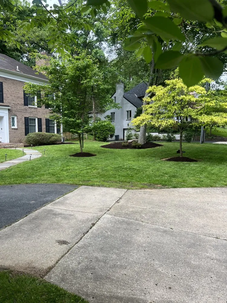 Trusted yard cleanup service for residential properties in Mount Airy, MD by Green Solution Service