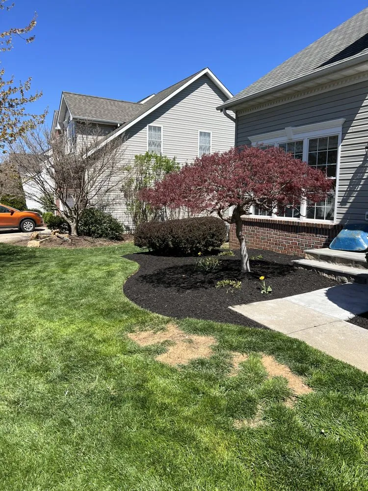 Top-rated lawn care service experts serving Mount Airy, MD - Green Solution Service
