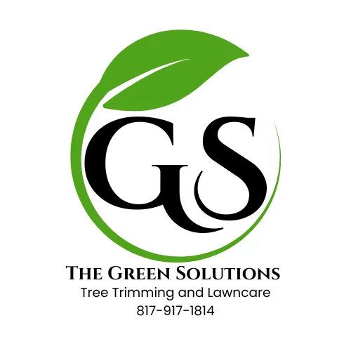 Custom landscape installation in Arlington, TX - Green Solutions