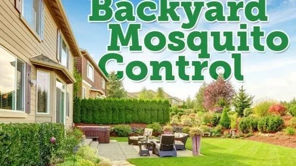 Top-rated landscaping services with custom design in Lexington, KY by Green Solutions Landcare