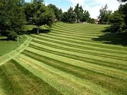 Local yard maintenance experts serving Lexington, KY - Green Solutions Landcare