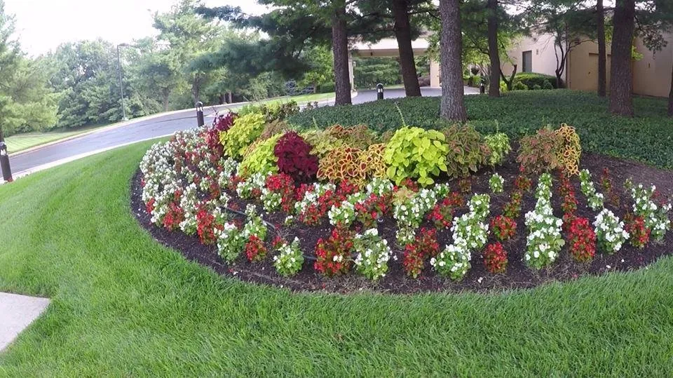 Custom yard maintenance in Lexington, KY by Green Solutions Landcare