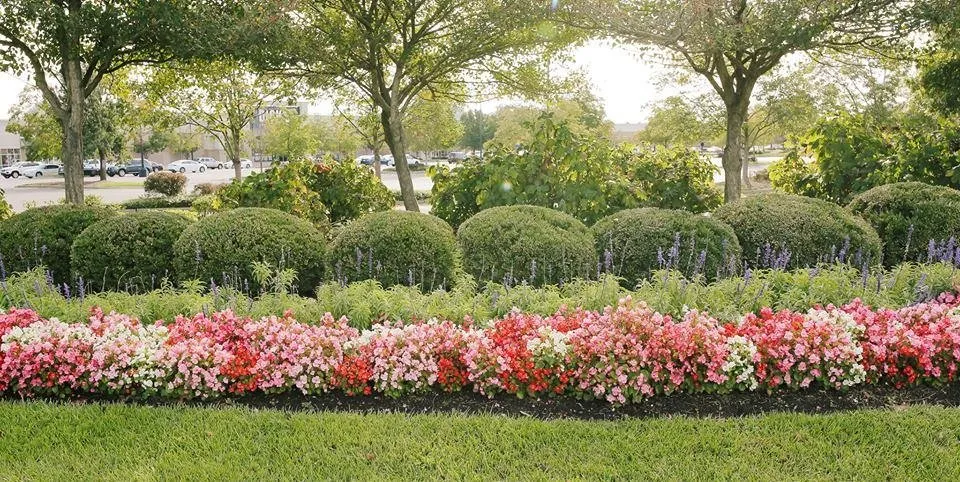 Custom lawn mowing service for year-round maintenance in Lexington, KY by Green Solutions Landcare