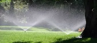 Professional yard maintenance for year-round maintenance across Lexington, KY - Green Solutions Landcare