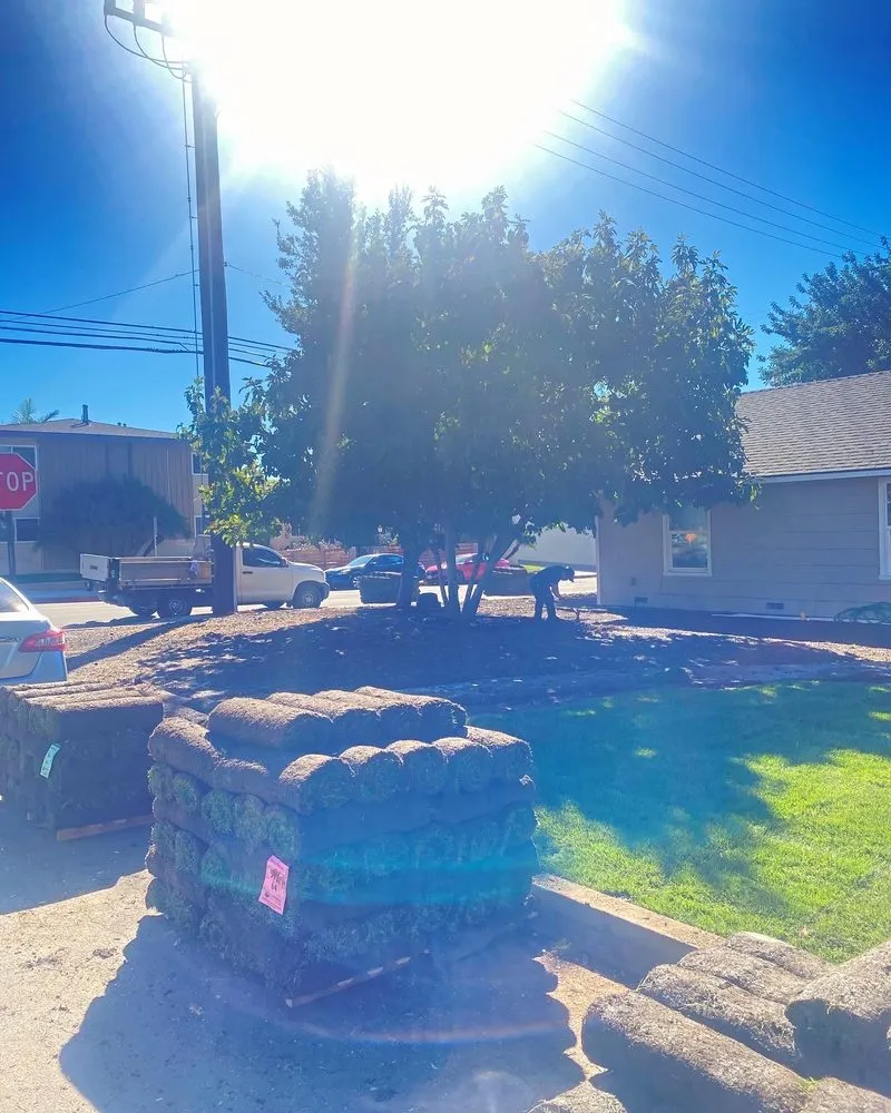 Top-rated landscape installation in Downey, CA - Green Solutions Landscape