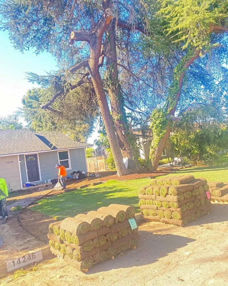Top-rated outdoor landscaping for year-round maintenance across Downey, CA - Green Solutions Landscape