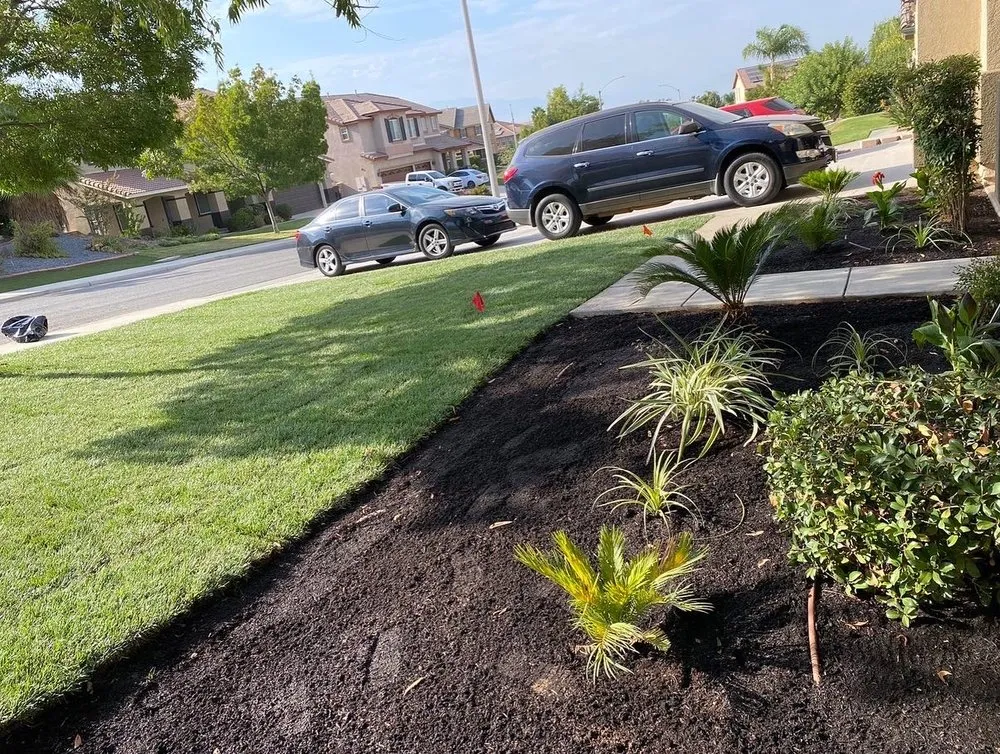 Professional landscape design for beautiful yards in Downey, CA by Green Solutions Landscape
