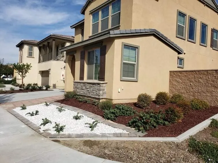 Trusted yard cleanup service for beautiful yards in Downey, CA by Green Solutions Landscape