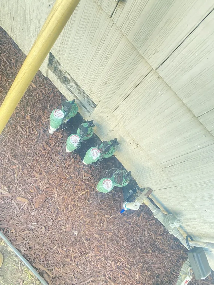 Expert yard maintenance for beautiful yards in Downey, CA by Green Solutions Landscape