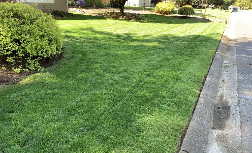 Local landscape installation in Monroe, WA - Green Solutions Landscaping