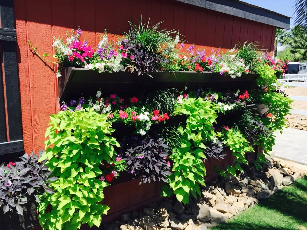 Custom garden landscaping for residential properties across Tempe, AZ - Green Solutions Landscaping