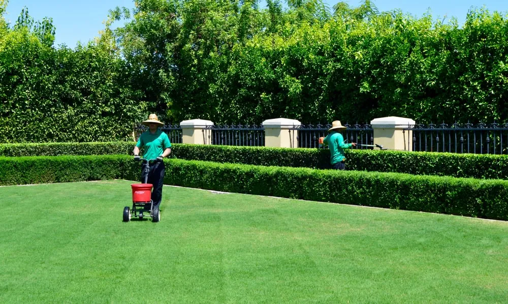 Trusted landscape installation for homes across Tempe, AZ - Green Solutions Landscaping