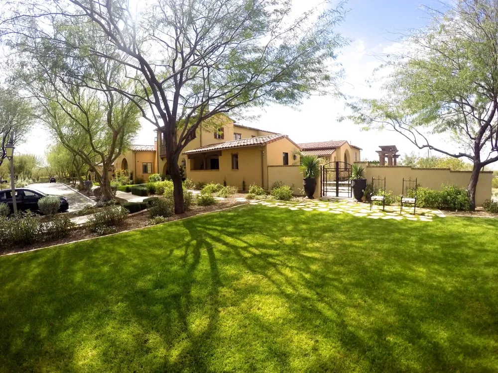 Local yard maintenance experts serving Tempe, AZ - Green Solutions Landscaping