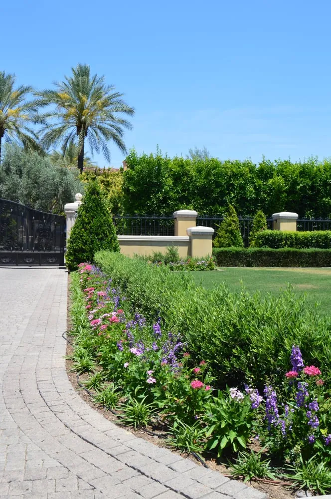 Local landscaping services experts serving Tempe, AZ - Green Solutions Landscaping