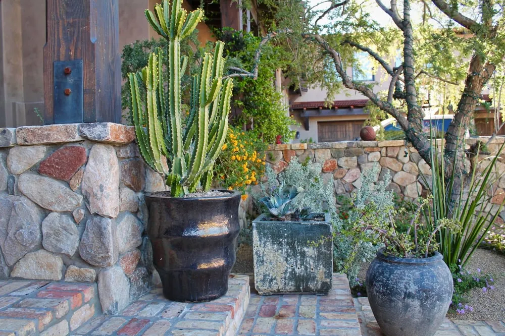 Expert lawn mowing service experts serving Tempe, AZ - Green Solutions Landscaping