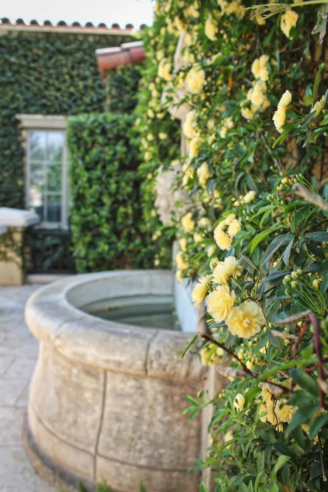 Custom landscape design in Tempe, AZ - Green Solutions Landscaping