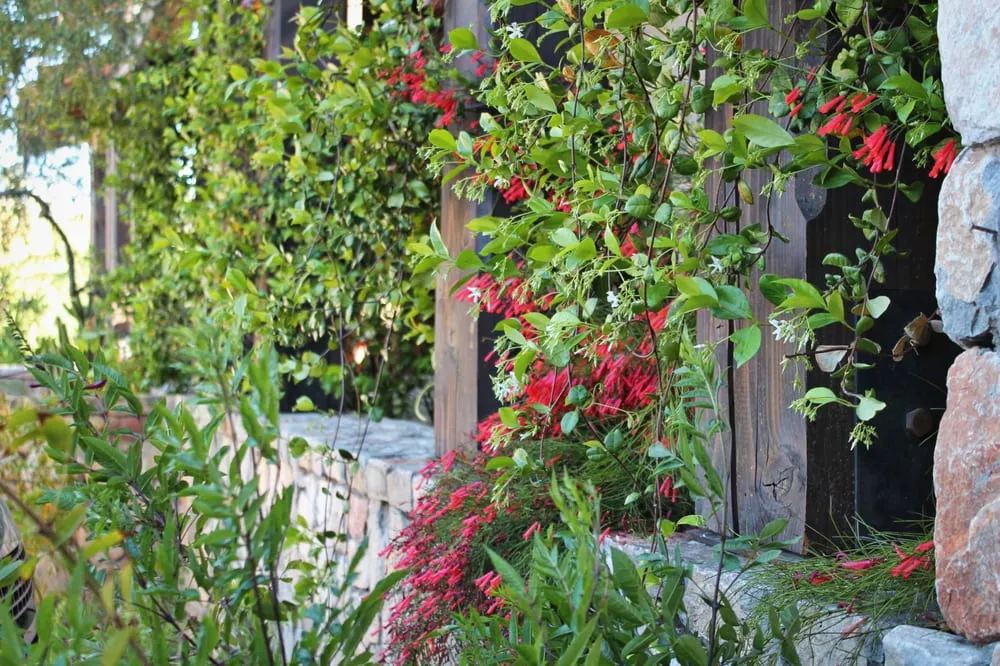 Top-rated landscape design experts serving Tempe, AZ - Green Solutions Landscaping