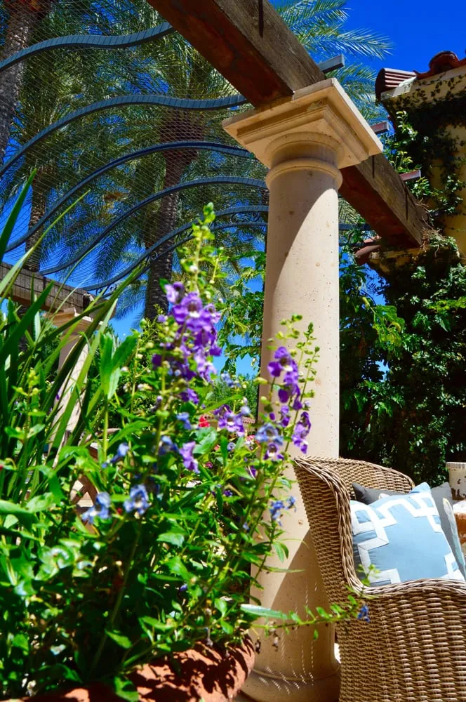 Custom yard cleanup service in Tempe, AZ by Green Solutions Landscaping