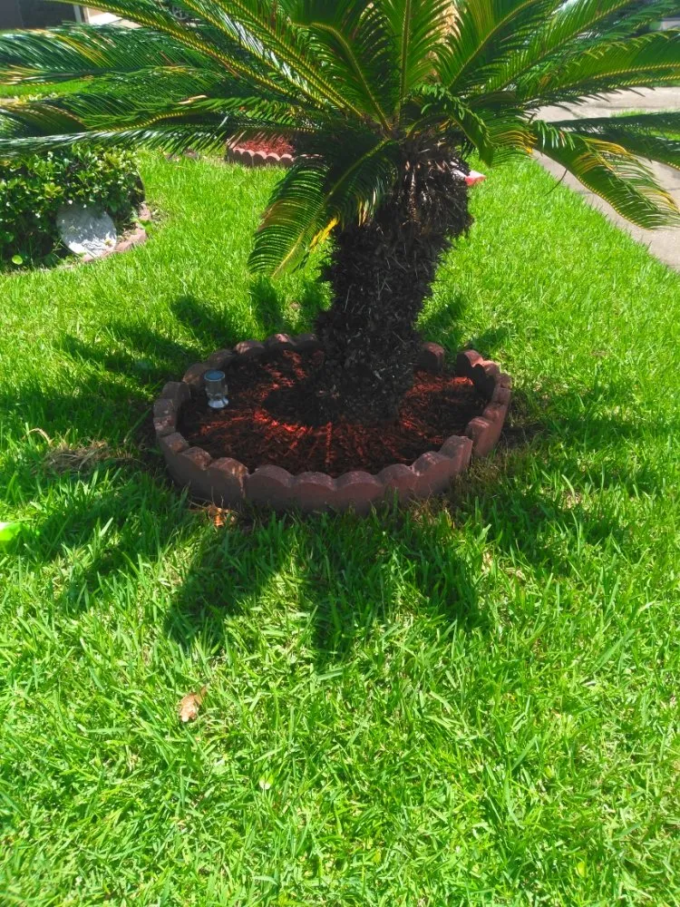 Custom landscape installation in LaPlace, LA by Green Solutions