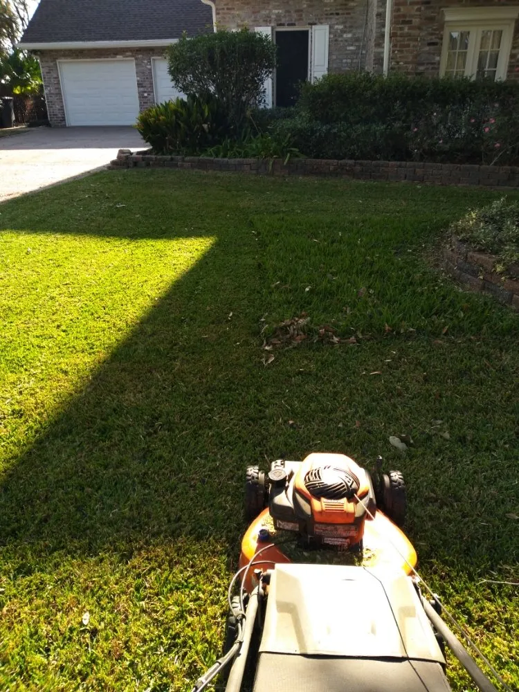 Top-rated landscape design in LaPlace, LA - Green Solutions