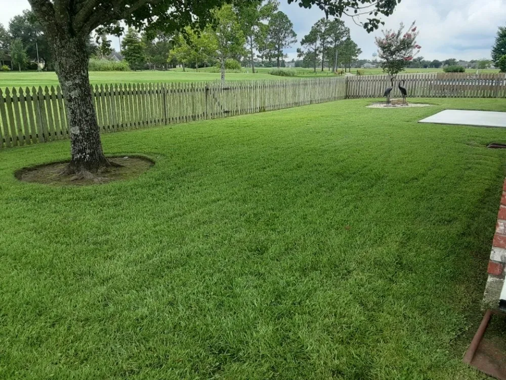 Professional landscaping services in LaPlace, LA - Green Solutions