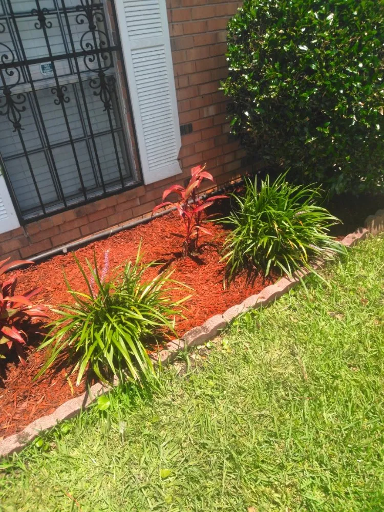 Trusted landscaping services in LaPlace, LA by Green Solutions