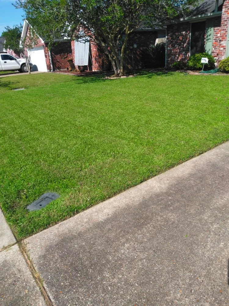 Professional lawn care service experts serving LaPlace, LA - Green Solutions