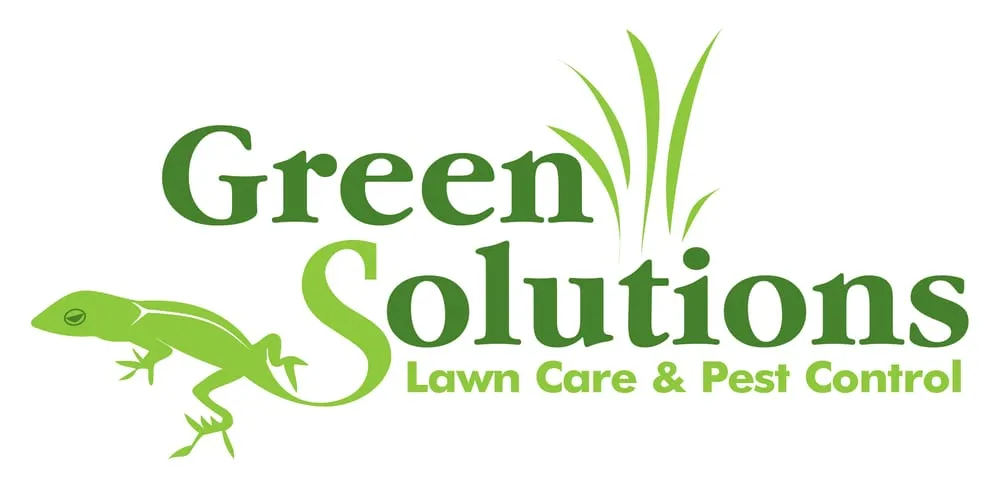Expert garden landscaping with custom design in Tampa, FL by Green Solutions Lawn Care & Pest Control