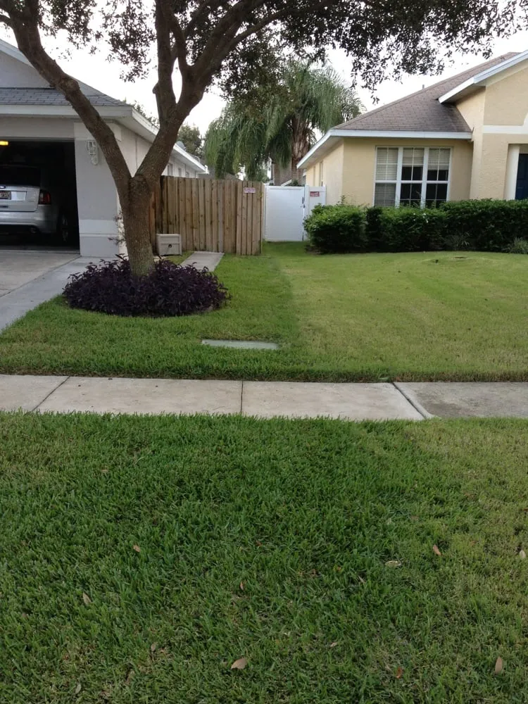 Top-rated yard cleanup service for outdoor upgrades across Tampa, FL - Green Solutions Lawn Care & Pest Control