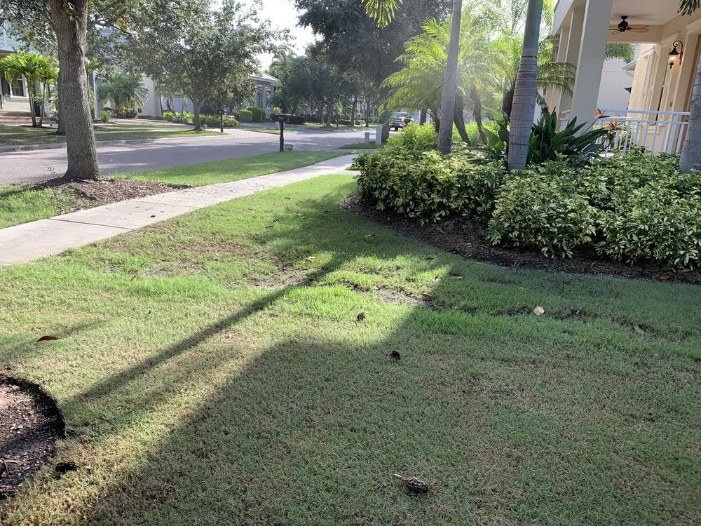 Local landscape installation in Tampa, FL by Green Solutions Lawn Care & Pest Control