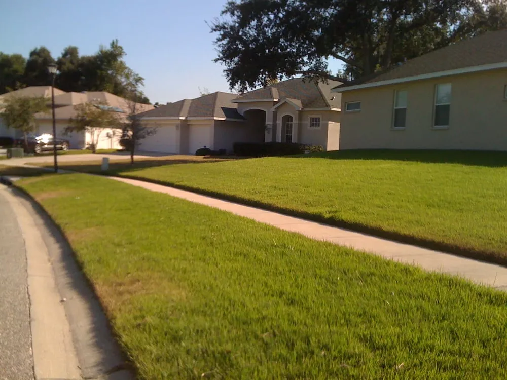 Reliable residential landscaping for outdoor upgrades across Tampa, FL - Green Solutions Lawn Care & Pest Control