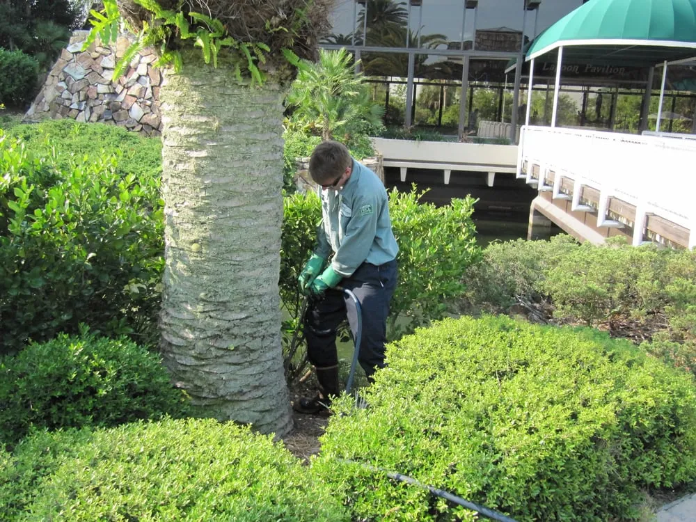 Affordable landscape installation experts serving Tampa, FL - Green Solutions Lawn Care & Pest Control
