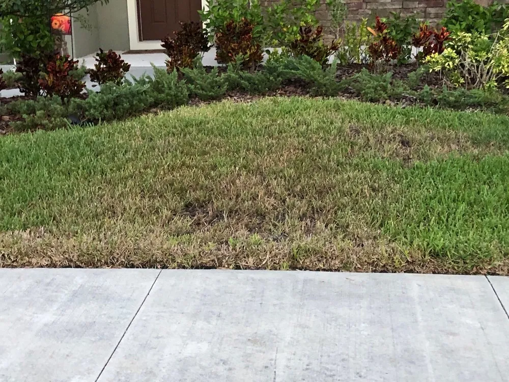 Trusted lawn mowing service in Tampa, FL - Green Solutions Lawn Care & Pest Control