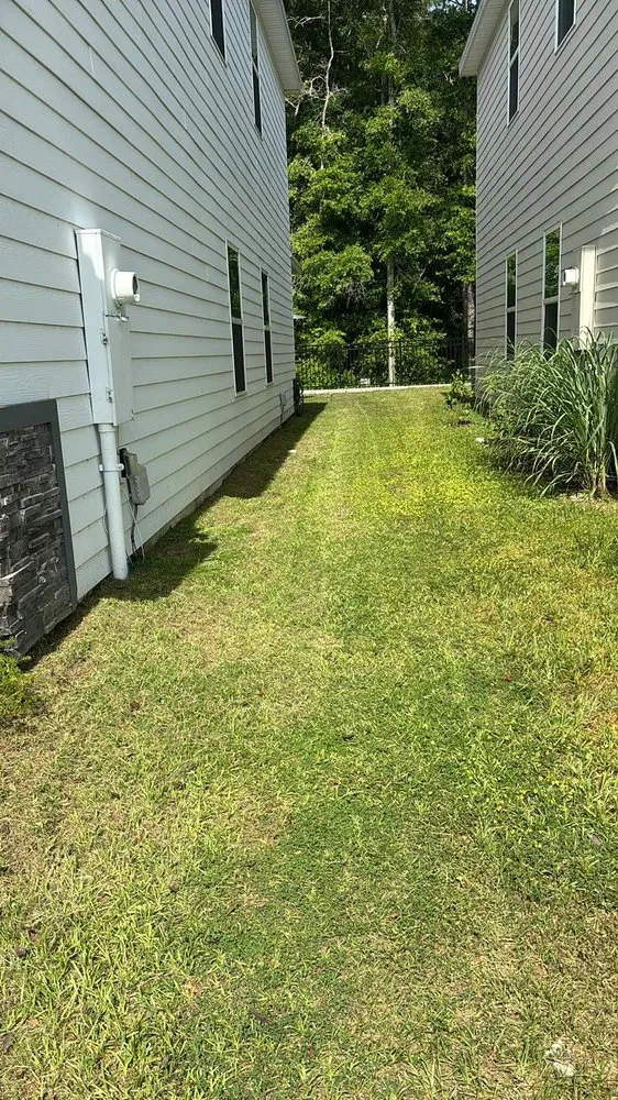 Reliable landscaping services with custom design in Newberry, FL by Green Solutions