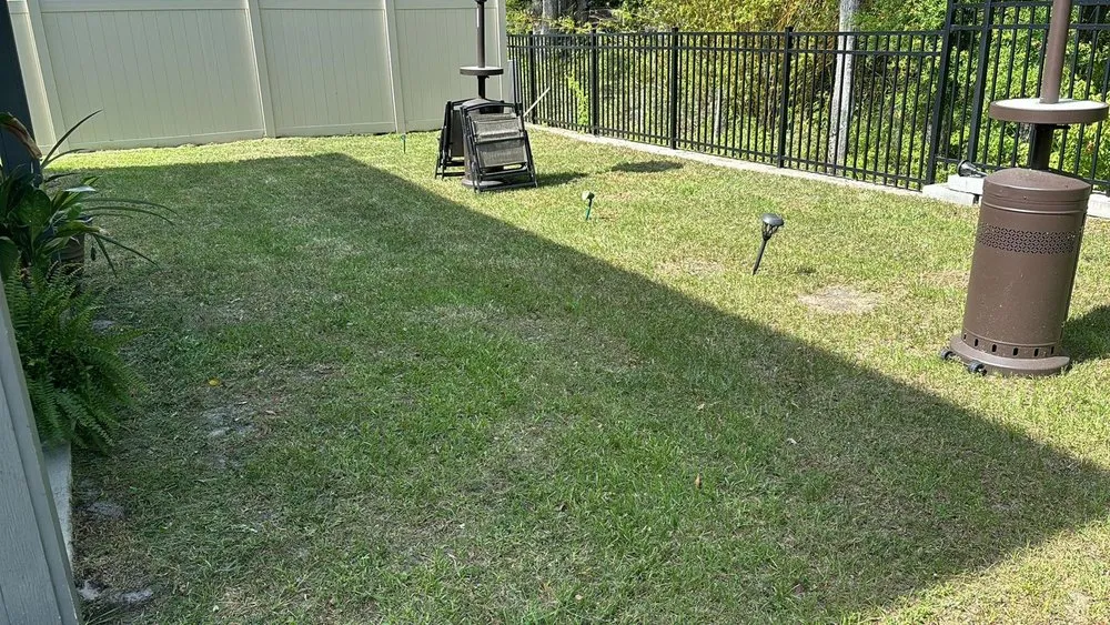 Trusted lawn care service for year-round maintenance in Newberry, FL by Green Solutions